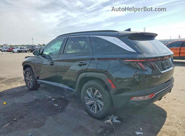 KM8JBCA15NU018772 2022 HYUNDAI TUCSON Black Задня ліва чверть
