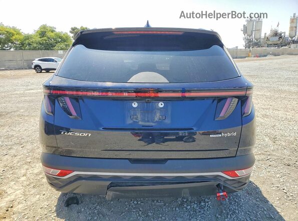 KM8JBCA15PU098920 2023 HYUNDAI TUCSON Blue უკანა ხედი