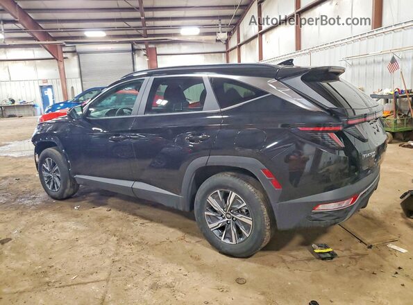 KM8JBCA16PU136493 2023 HYUNDAI TUCSON Black Rear left
