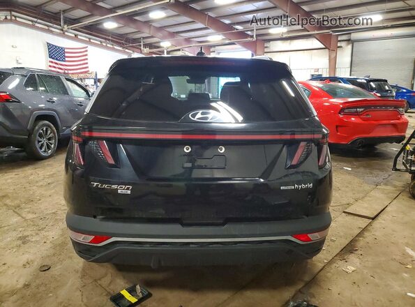 KM8JBCA16PU136493 2023 HYUNDAI TUCSON Black Rear view
