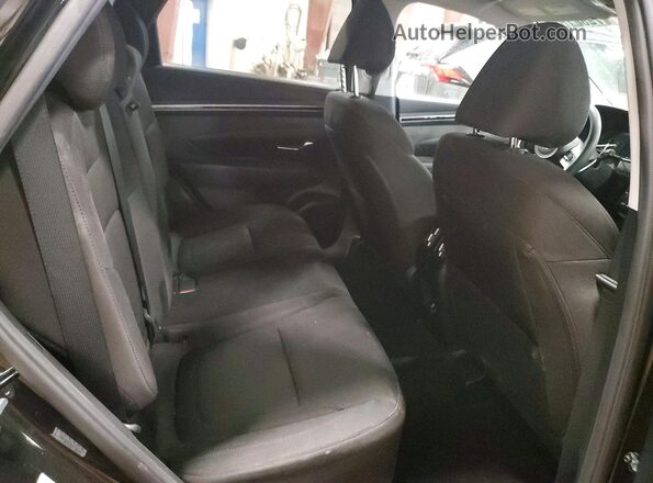 KM8JBCA16PU136493 2023 HYUNDAI TUCSON Black Rear seats view