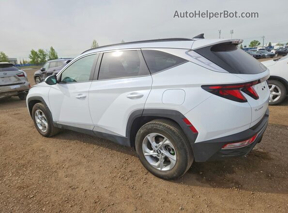 KM8JBCAE7NU148992 2022 HYUNDAI TUCSON White უკანა მარცხენა