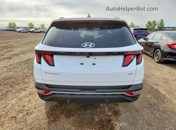 KM8JBCAE7NU148992 2022 HYUNDAI TUCSON White უკანა ხედი