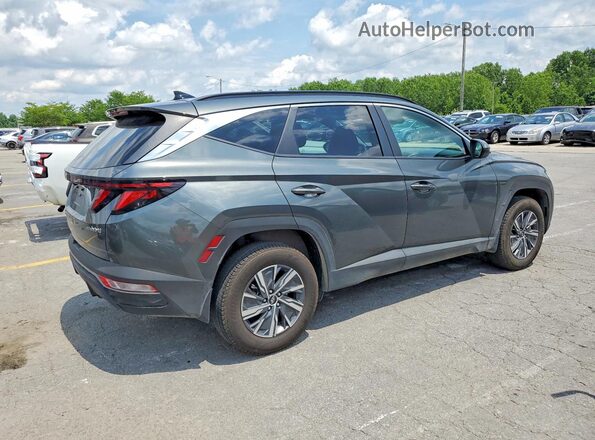 KM8JBCD13RU223394 2024 HYUNDAI TUCSON Gray Trasero derecho