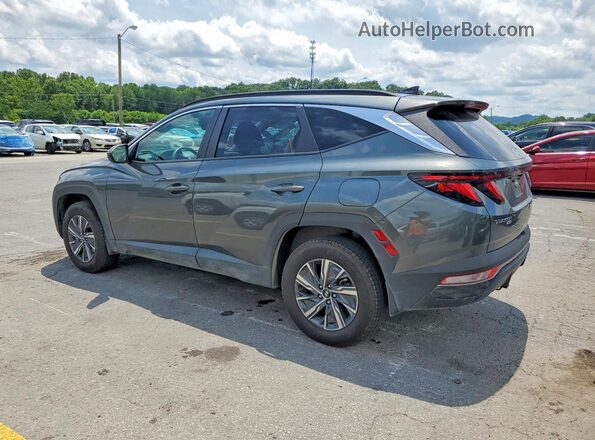 KM8JBCD13RU223394 2024 HYUNDAI TUCSON Gray Trasero izquierdo