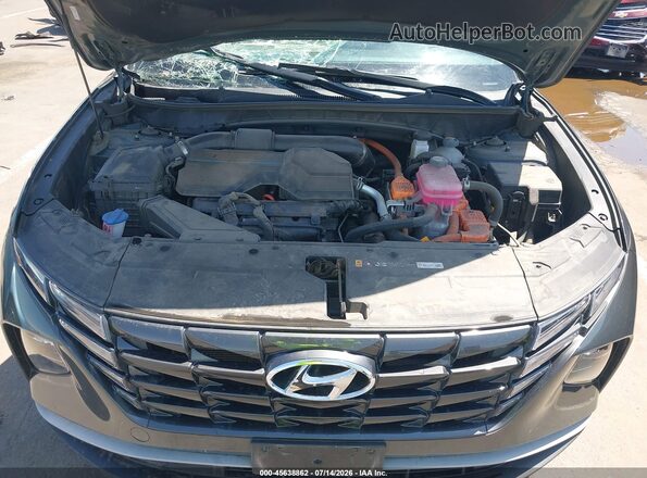 KM8JBCD14RU218396 2024 HYUNDAI TUCSON HYBRID Серый Вид сзади