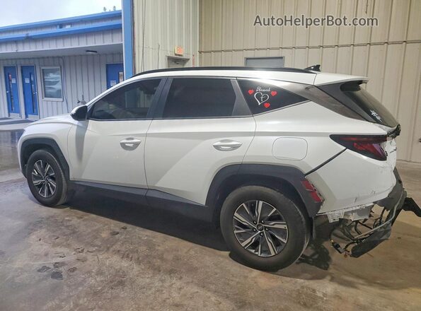 KM8JBCD15RU211683 2024 HYUNDAI TUCSON White Trasero izquierdo