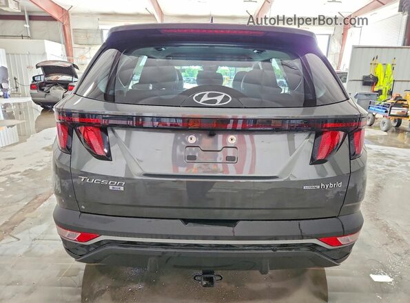 KM8JBCD17RU223477 2024 HYUNDAI TUCSON Серый Вид сзади