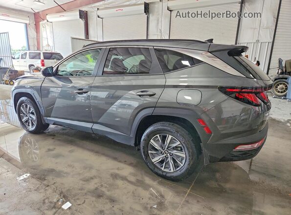 KM8JBCD17RU223477 2024 HYUNDAI TUCSON Серый Задняя левая четверть