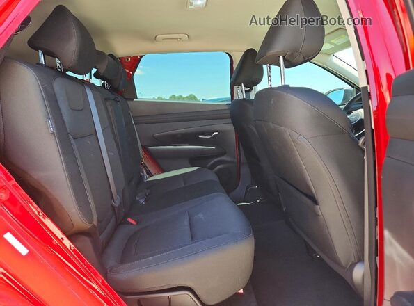 KM8JBDD20TU435935 2026 HYUNDAI TUCSON Красный Вид задней части салона