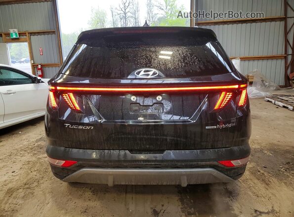 KM8JCCA19NU070466 2022 HYUNDAI TUCSON Black Vista trasera