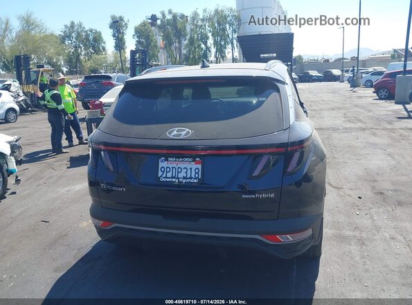 KM8JCCD11RU198105 2024 HYUNDAI TUCSON HYBRID Dark Blue 