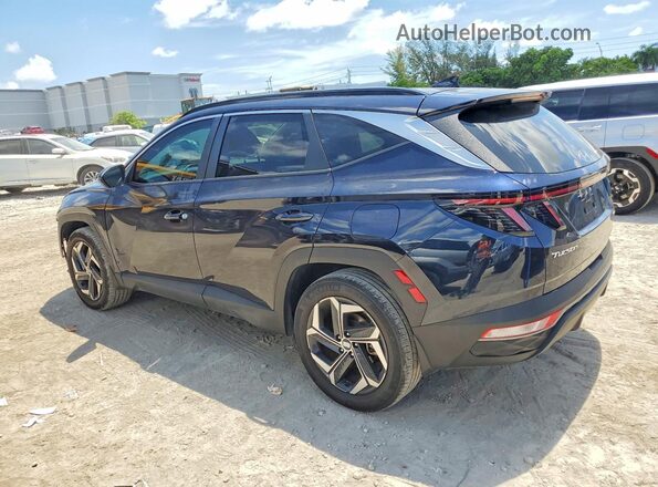 KM8JCCD14RU212417 2024 HYUNDAI TUCSON Blue Հետևի ձախ