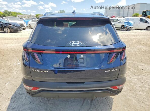 KM8JCCD14RU212417 2024 HYUNDAI TUCSON Blue Հետևի տեսք