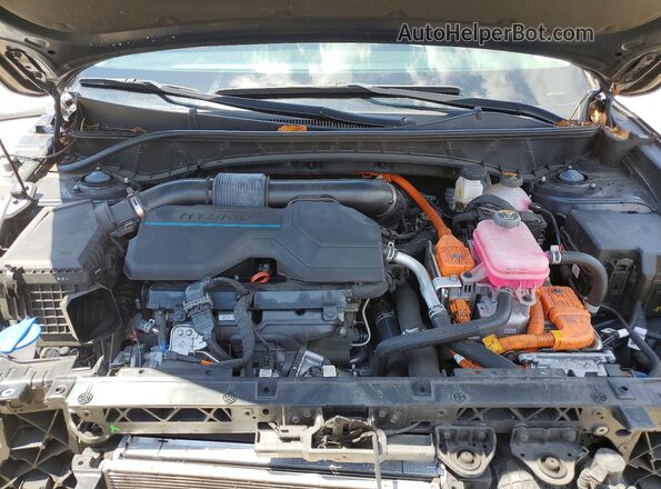 KM8JCCD14RU212417 2024 HYUNDAI TUCSON Blue Սալոնի հետևի տեսք
