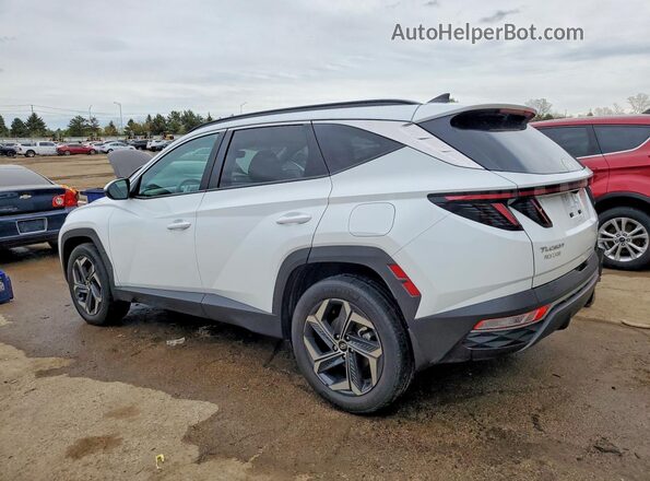 KM8JCCD14RU213535 2024 HYUNDAI TUCSON White Rear left