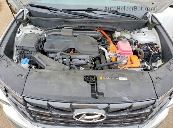 KM8JCCD14RU213535 2024 HYUNDAI TUCSON White Rear interior view