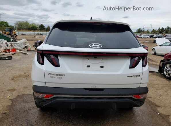 KM8JCCD14RU213535 2024 HYUNDAI TUCSON White Rear view
