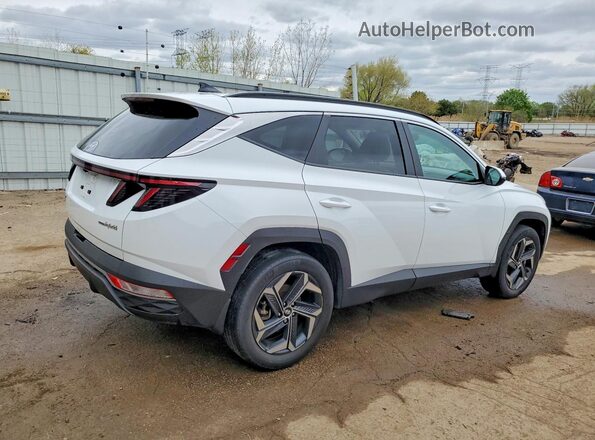 KM8JCCD14RU213535 2024 HYUNDAI TUCSON White Rear right