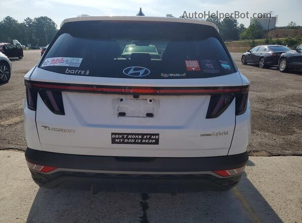 KM8JCCD15RU213933 2024 HYUNDAI TUCSON White Widok z tyłu