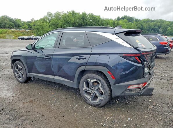 KM8JCCD16RU217442 2024 HYUNDAI TUCSON Blue Հետևի ձախ