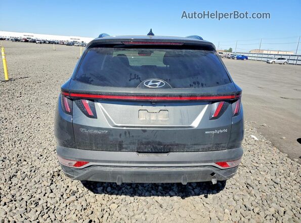 KM8JCCD17RU147482 2024 HYUNDAI TUCSON Gray Rear view