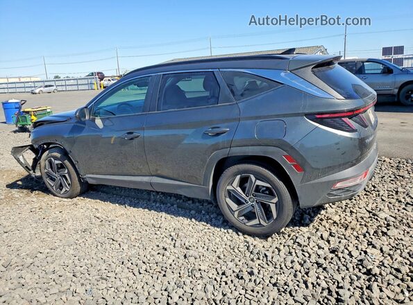 KM8JCCD17RU147482 2024 HYUNDAI TUCSON Gray Rear left