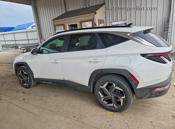 KM8JCCD17RU149717 2024 HYUNDAI TUCSON White Հետևի ձախ