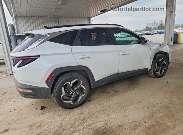 KM8JCCD17RU149717 2024 HYUNDAI TUCSON White Հետևի աջ