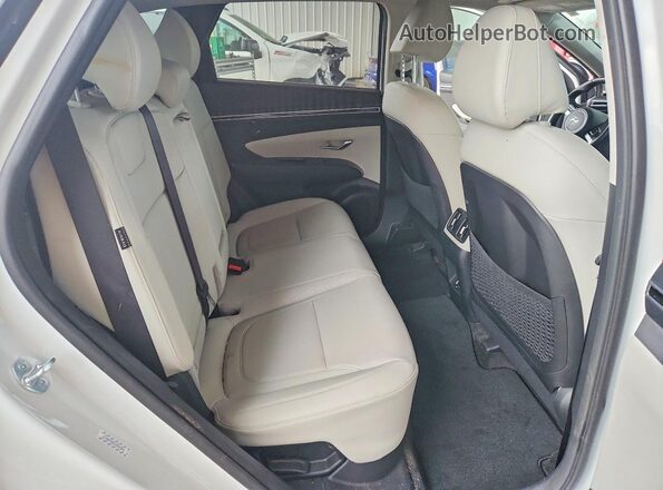 KM8JCCD17RU149717 2024 HYUNDAI TUCSON White Սալոնի հետևի տեսք