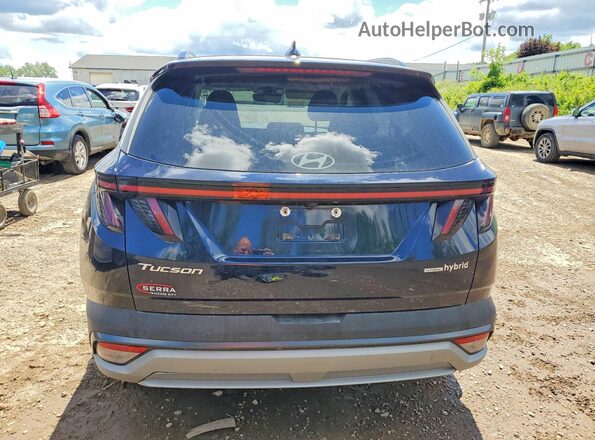KM8JCDD13SU330941 2025 HYUNDAI TUCSON Blue Rear view