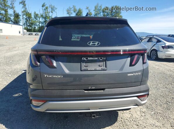 KM8JCDD13TU437716 2026 HYUNDAI TUCSON Gray Vista trasera