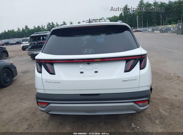 KM8JCDD16SU386744 2025 HYUNDAI TUCSON HYBRID White 