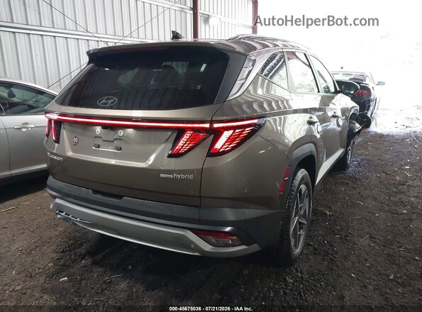 KM8JCDD17SU325628 2025 HYUNDAI TUCSON HYBRID Brown Tył prawy