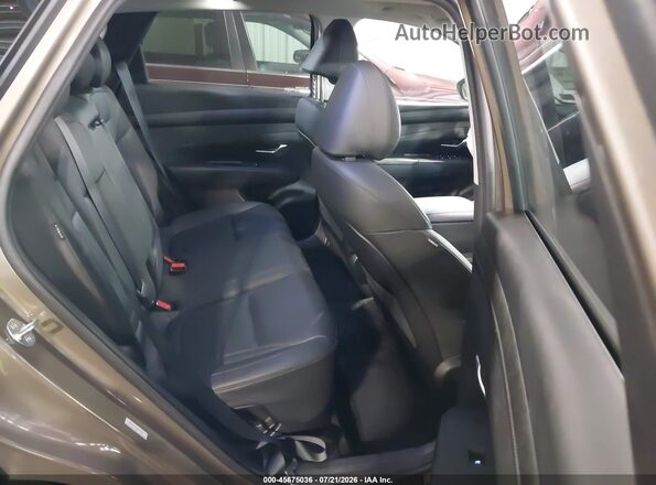 KM8JCDD17SU325628 2025 HYUNDAI TUCSON HYBRID Brown Widok naklejki z numerem VIN