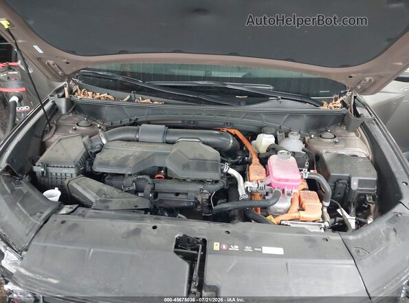 KM8JCDD17SU325628 2025 HYUNDAI TUCSON HYBRID Brown Widok z tyłu