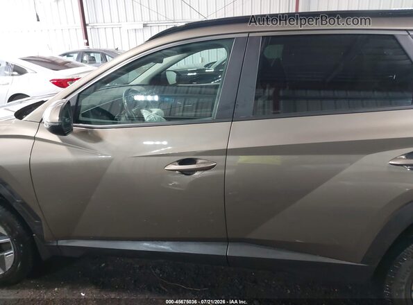 KM8JCDD17SU325628 2025 HYUNDAI TUCSON HYBRID Brown Widok wnętrza 360 stopni