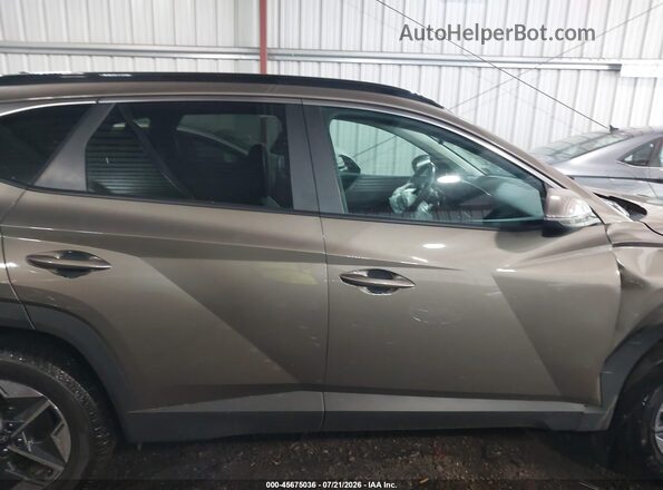 KM8JCDD17SU325628 2025 HYUNDAI TUCSON HYBRID Brown Widok wnętrza z tyłu