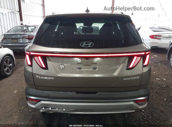KM8JCDD17SU325628 2025 HYUNDAI TUCSON HYBRID Brown 