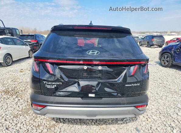 KM8JCDD17SU332689 2025 HYUNDAI TUCSON Black Widok z tyłu