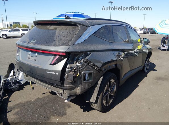 KM8JCDD1XSU341497 2025 HYUNDAI TUCSON HYBRID Gray Trasero derecho