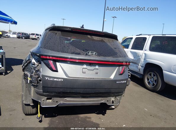 KM8JCDD1XSU341497 2025 HYUNDAI TUCSON HYBRID Gray 