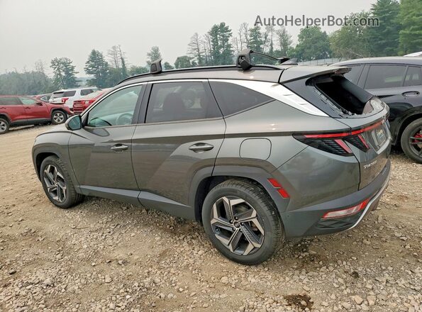KM8JECA15NU016883 2022 HYUNDAI TUCSON Gray უკანა მარცხენა