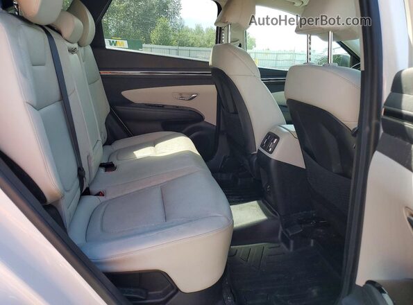 KM8JECA16PU095791 2023 HYUNDAI TUCSON White Rear interior view