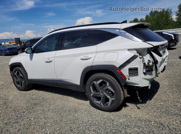 KM8JECA16PU095791 2023 HYUNDAI TUCSON White Rear left