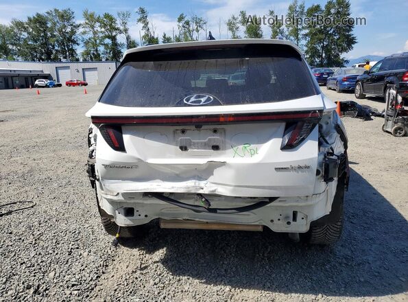 KM8JECA16PU095791 2023 HYUNDAI TUCSON White Rear view