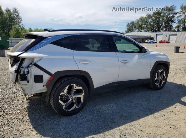 KM8JECA16PU095791 2023 HYUNDAI TUCSON White Rear right