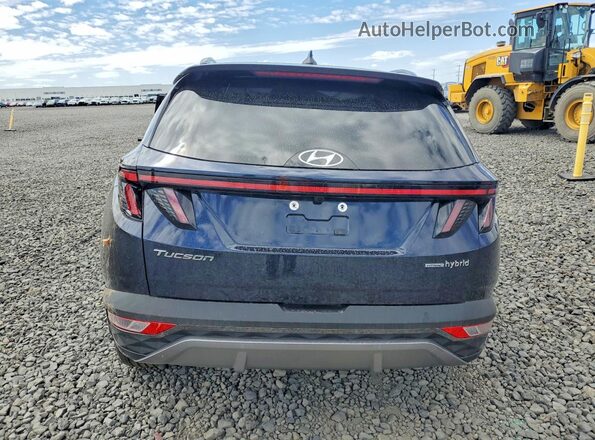 KM8JECD17RU165250 2024 HYUNDAI TUCSON Черный Вид сзади