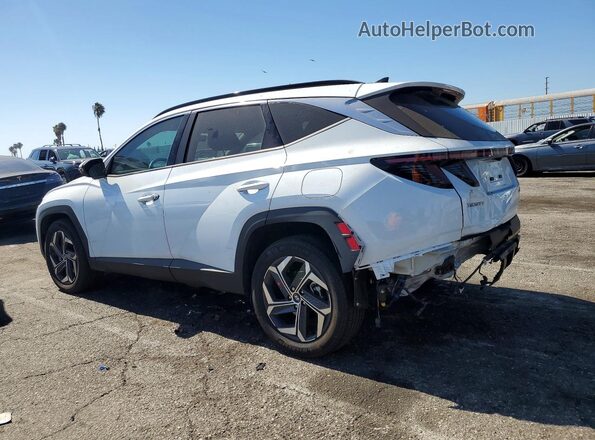KM8JECD18RU229344 2024 HYUNDAI TUCSON White Tył lewy