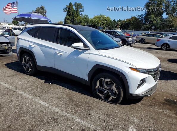 KM8JECD18RU229344 2024 HYUNDAI TUCSON White Przód prawy